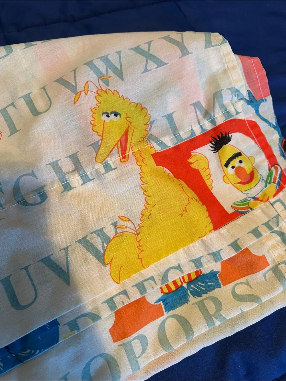 Vintage Sesame Street pillow case and flat twin size sheet